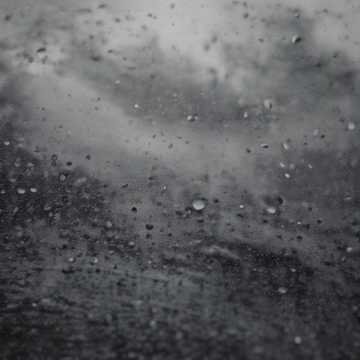 Sea Diary