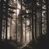 New Music